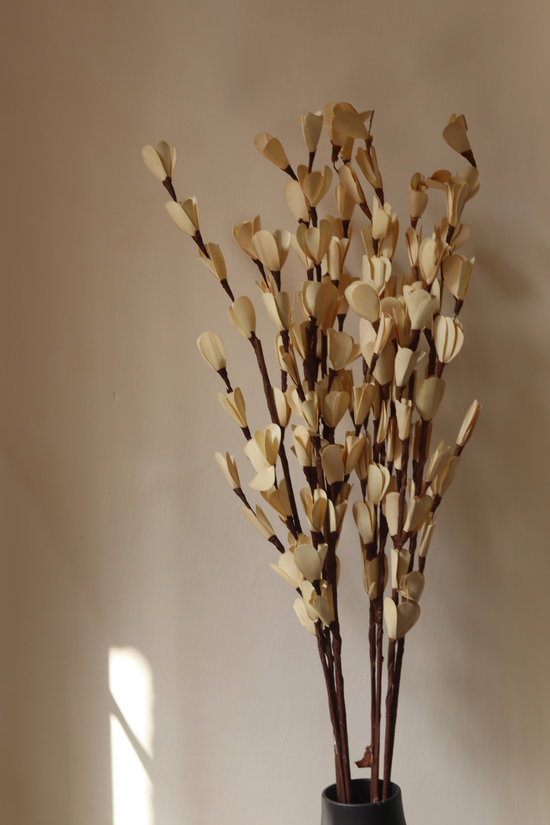 Cosmos dried flower bunch