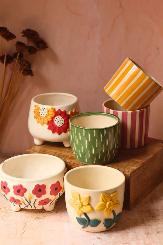 Set of 6 Floral Striped Delight Planters (for the price of 5 ) with premium quality material