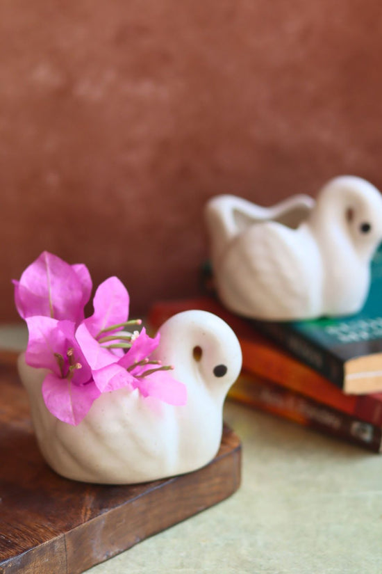 Swan Planter with premium quality material
