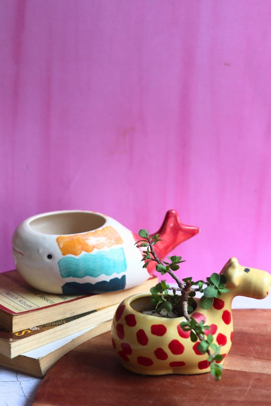 handmade Nemo Fish & Giraffe table Planter