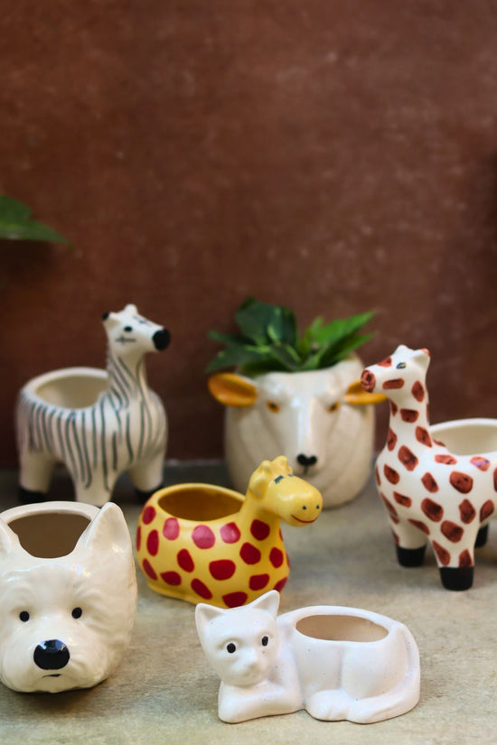 Set of 6 Charming Animal Planters combo with premium quality material