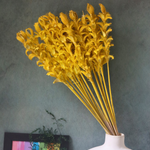 Dried flower bouquet for home decoration
