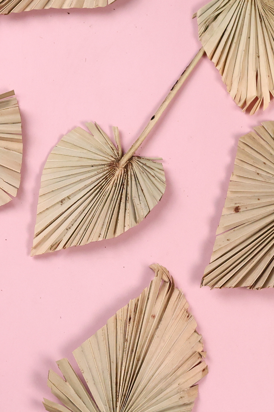 Dried palm bunch on surface