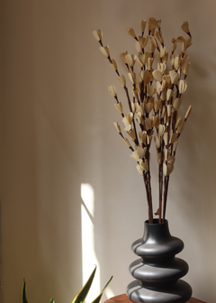 Cosmos dried flower bouquet in vase