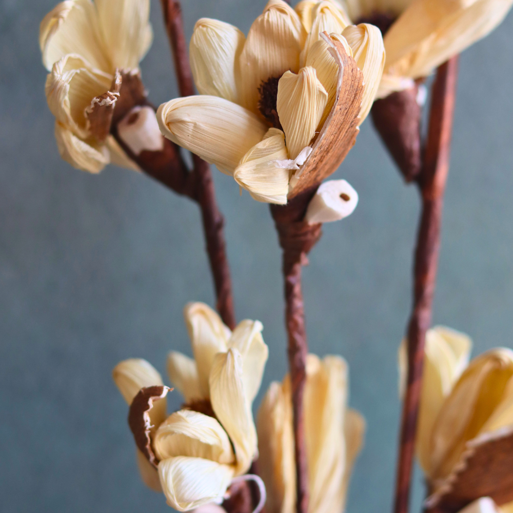 dried tulip bunch handmade in india
