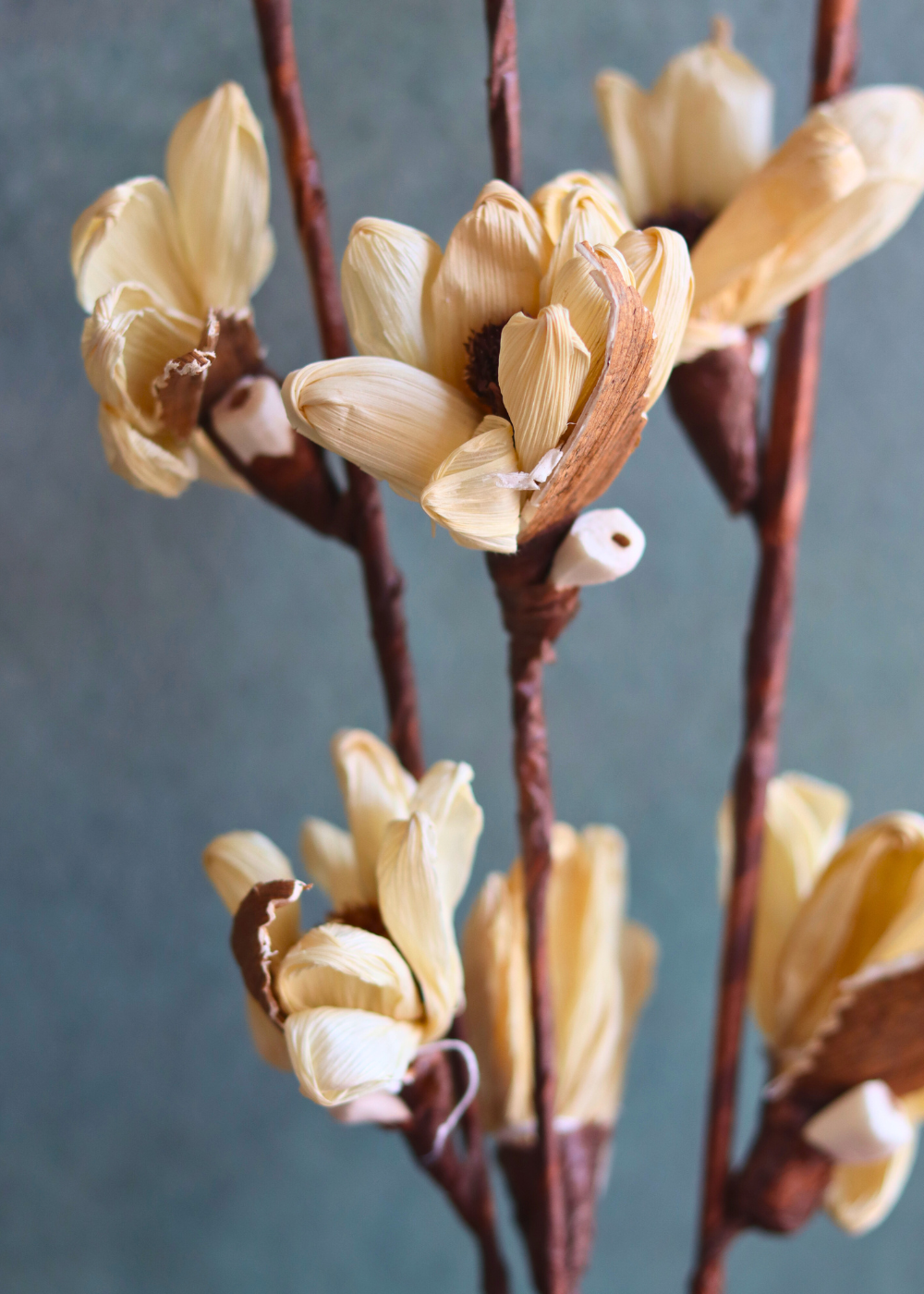 dried tulip bunch handmade in india