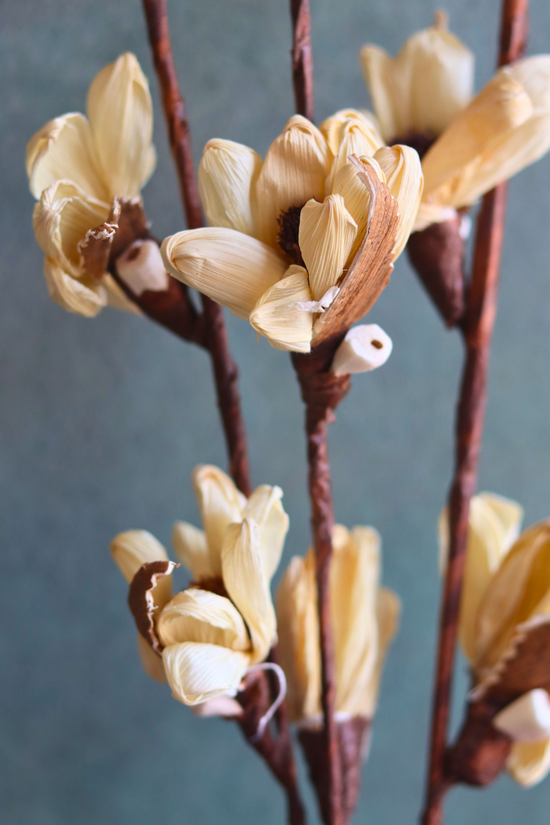 dried tulip bunch handmade in india