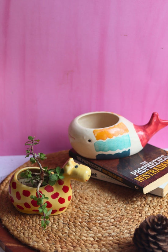 Nemo Fish & Giraffe table Planter handmade in india