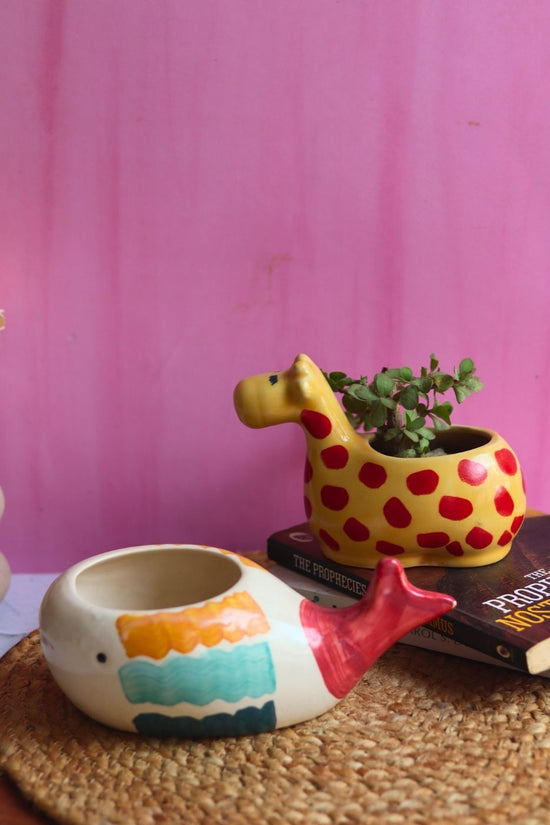 Nemo Fish & Giraffe table Planter with premium quality material