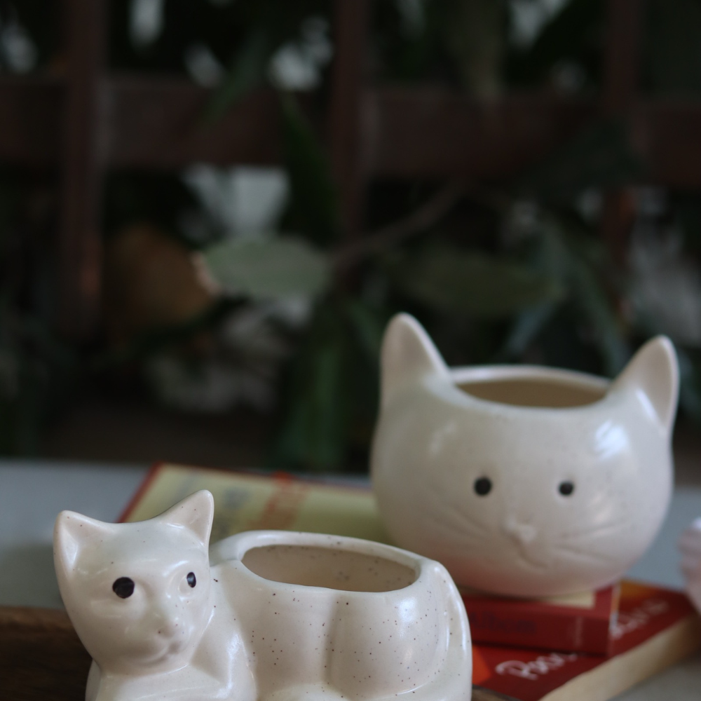handmade cat & kitty Planter, made by ceramic, combo, 