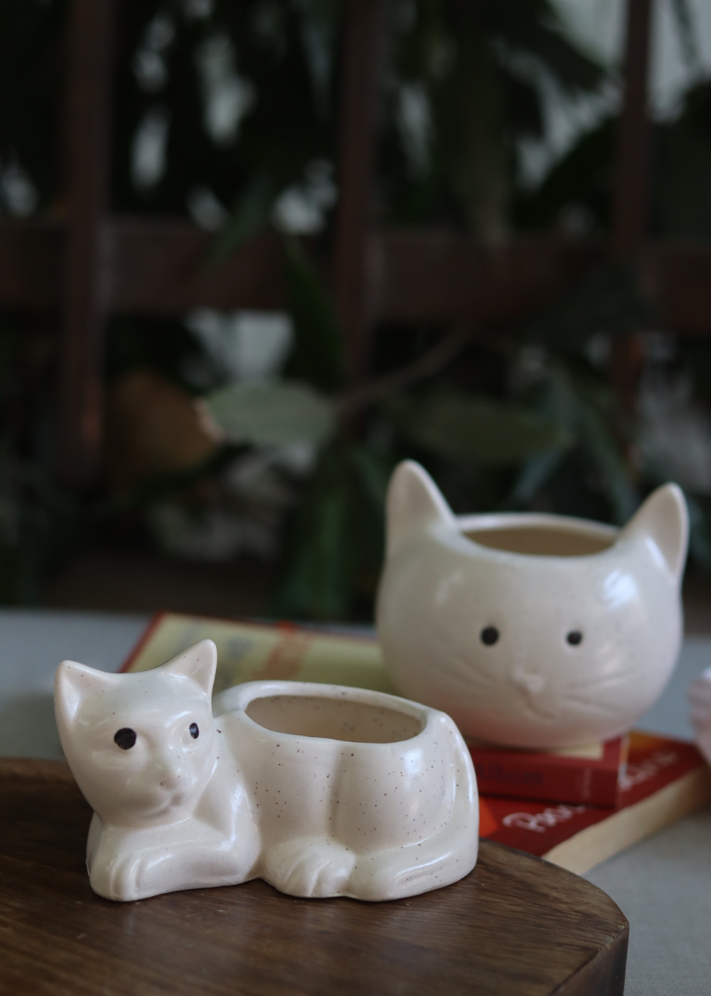 handmade cat & kitty Planter, made by ceramic, combo, 