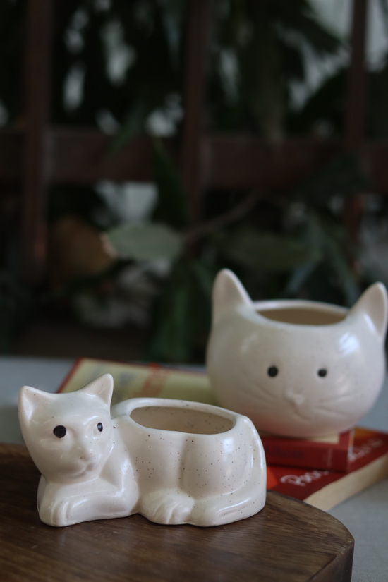 handmade cat & kitty Planter, made by ceramic, combo, 