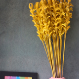 Natural dried yellow ginger flower bunch in vase 