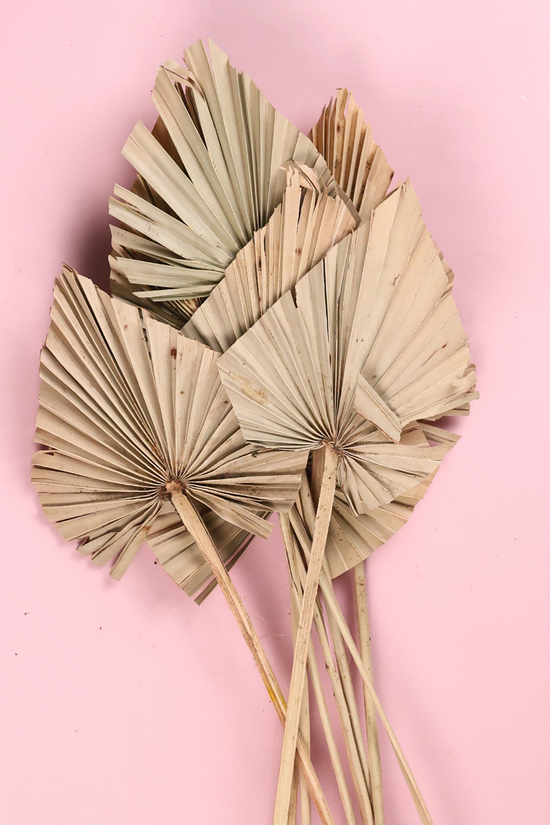 Dried palm bunch