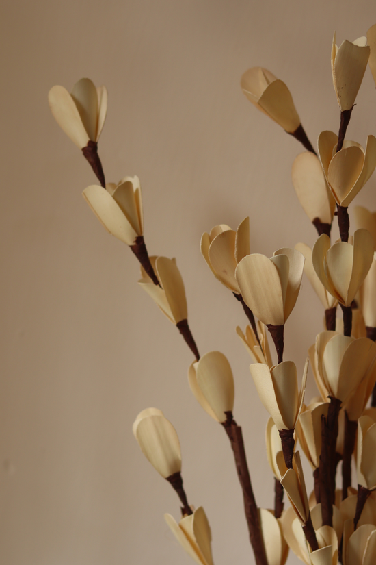 Dried flower bunch