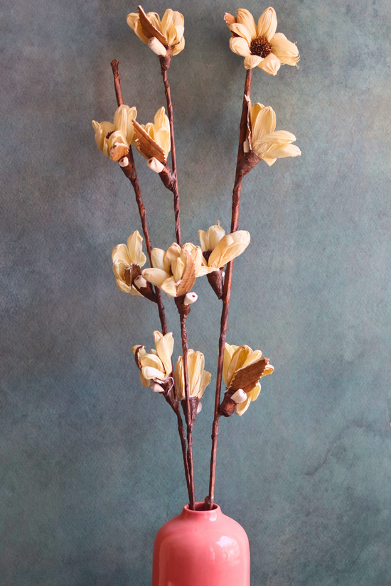 dried tulip bunch made by natural flowers
