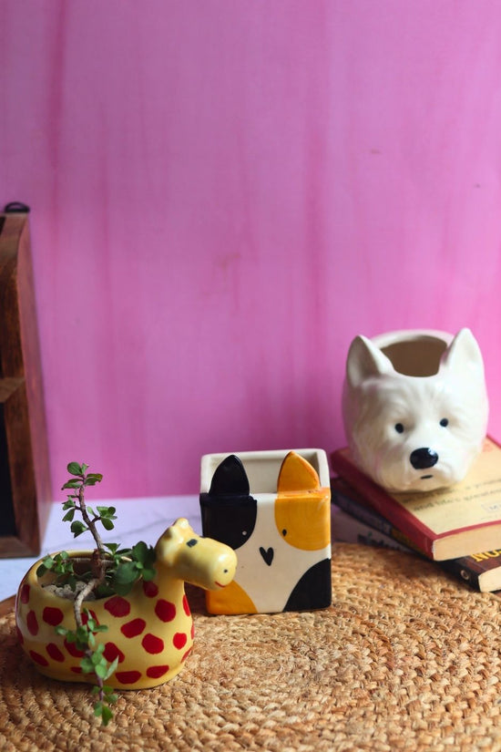 Handmade Set of 3 Essential Planters