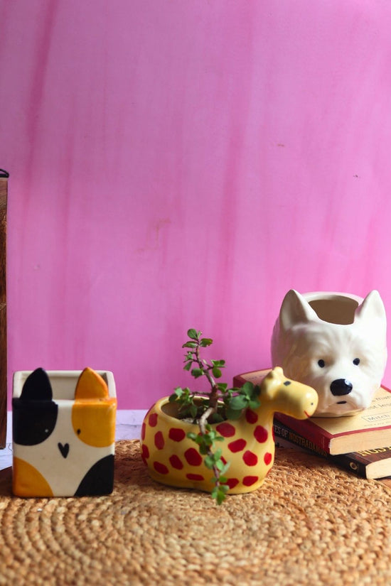 Set of 3 Essential Planters made by ceramic