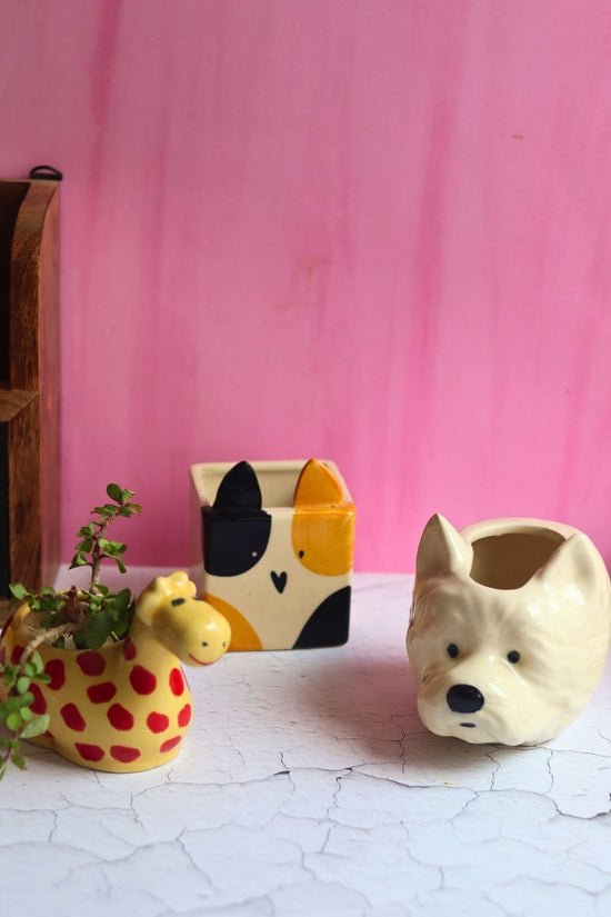 Set of 3 Essential Planters with premium quality material