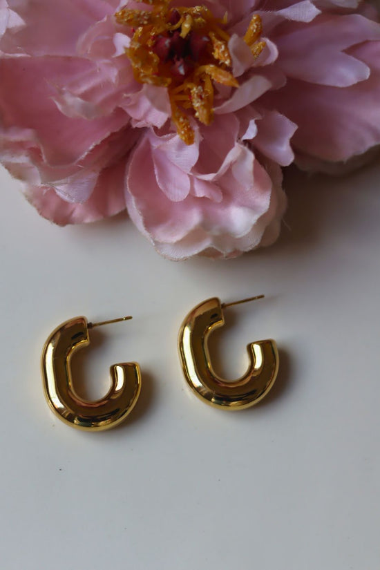 Set of 2 - Chunky U-Shaped & ButterFly Studs Earrings combo