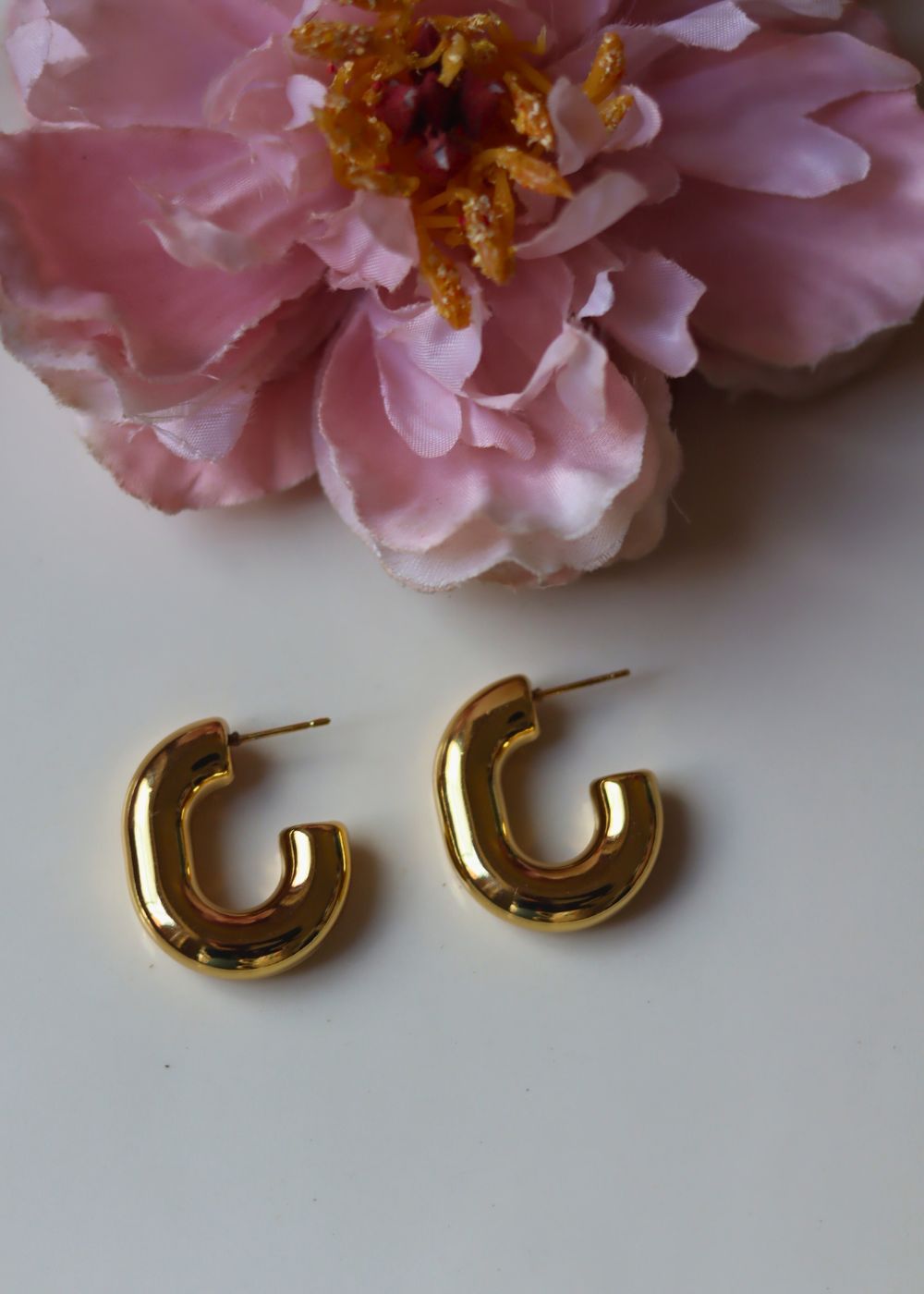 Set of 2 - Chunky U-Shaped & ButterFly Studs Earrings combo