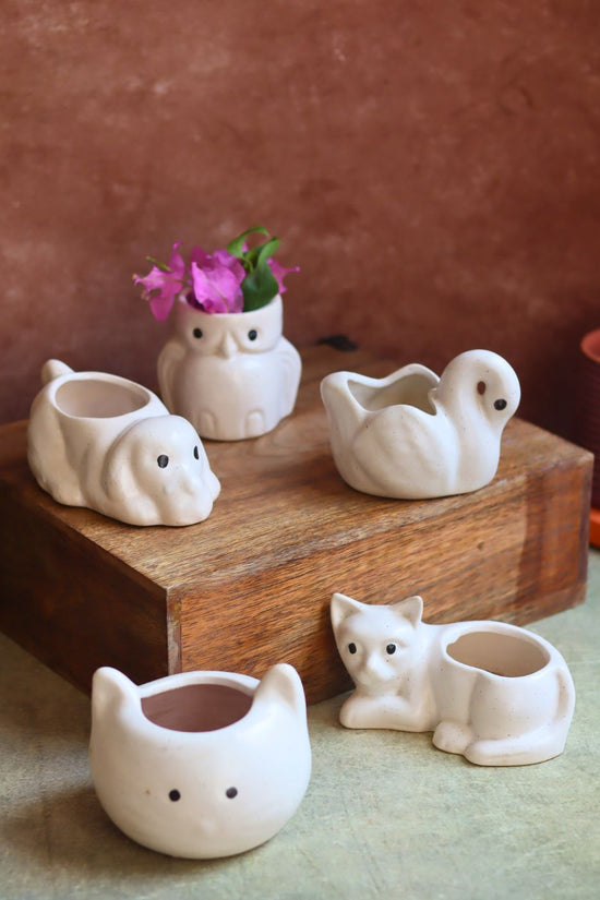 Set of 5 - Little Animals Kingdom Planters with premium quality material