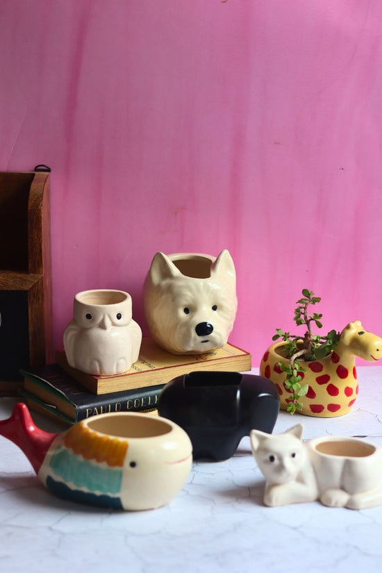 Handmade Set of 6 Essential Planters (for the price of 5)