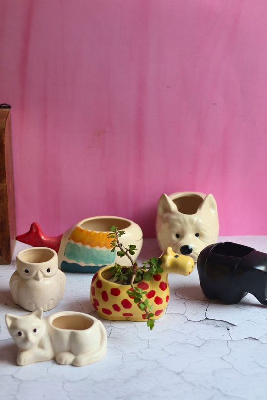Set of 6 Essential Planters (for the price of 5) made by ceramic