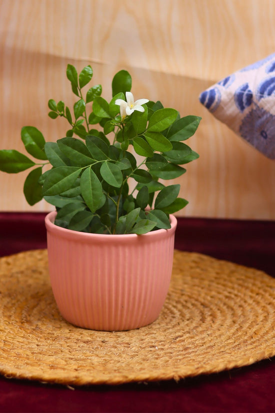 handmade Mellow Pink Planter