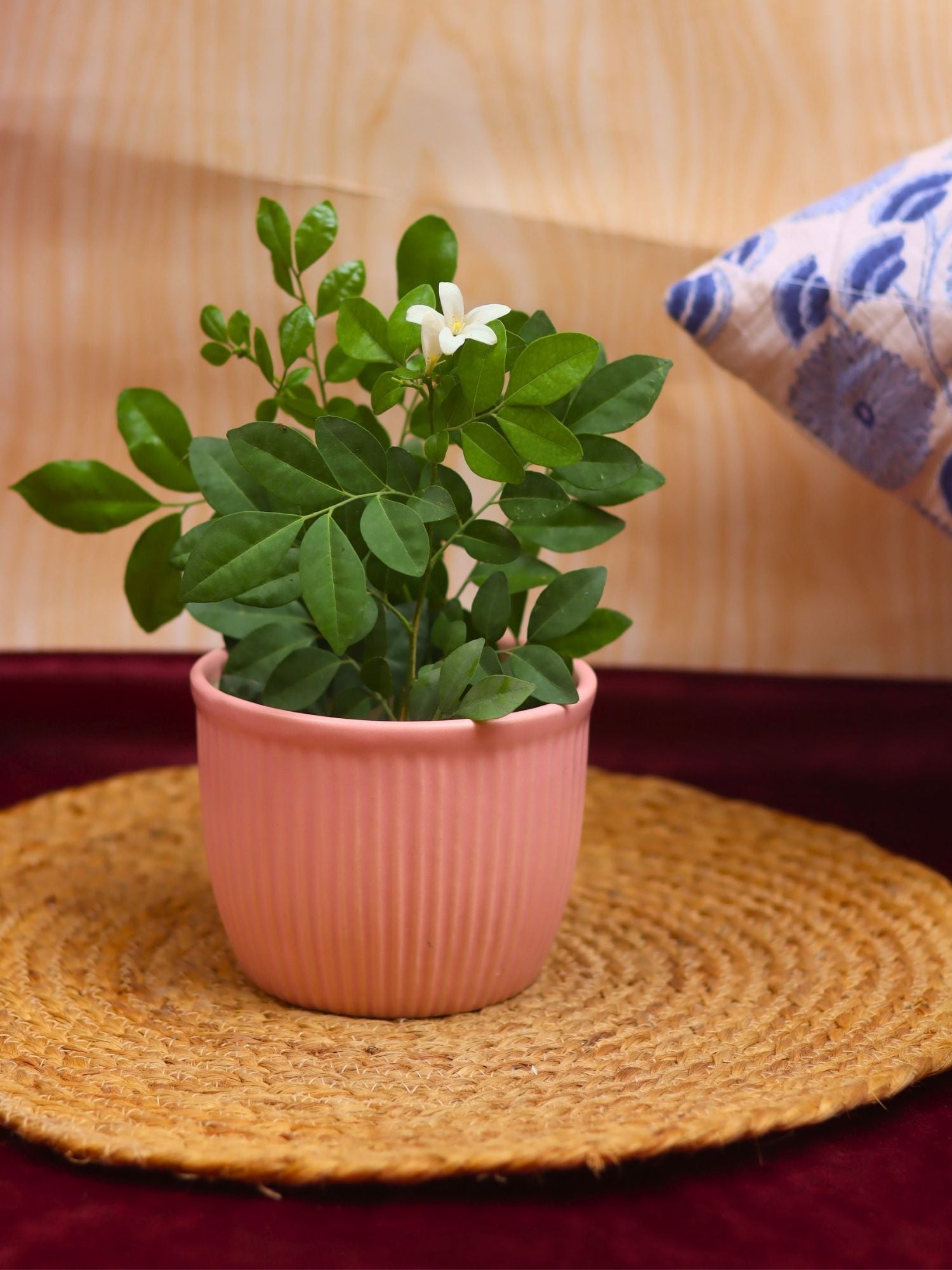 handmade Mellow Pink Planter