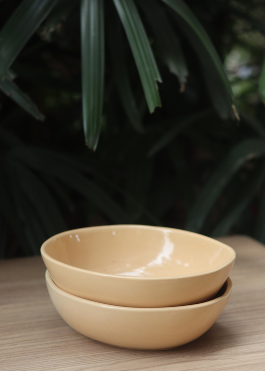 Nude Curry Bowl