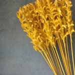 Natural dried yellow ginger bunch 