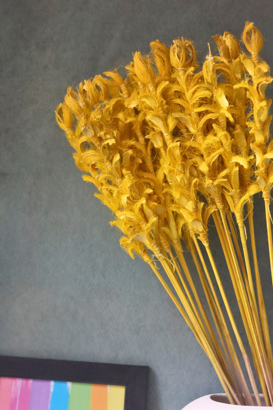 Natural dried yellow ginger bunch 