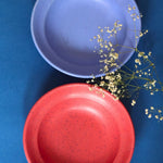 handmade Set of 2 - Deep Red & Matte Blue Pasta Plate