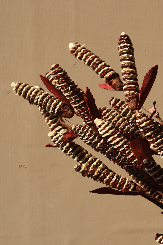 Dried pine chain flower bouquet
