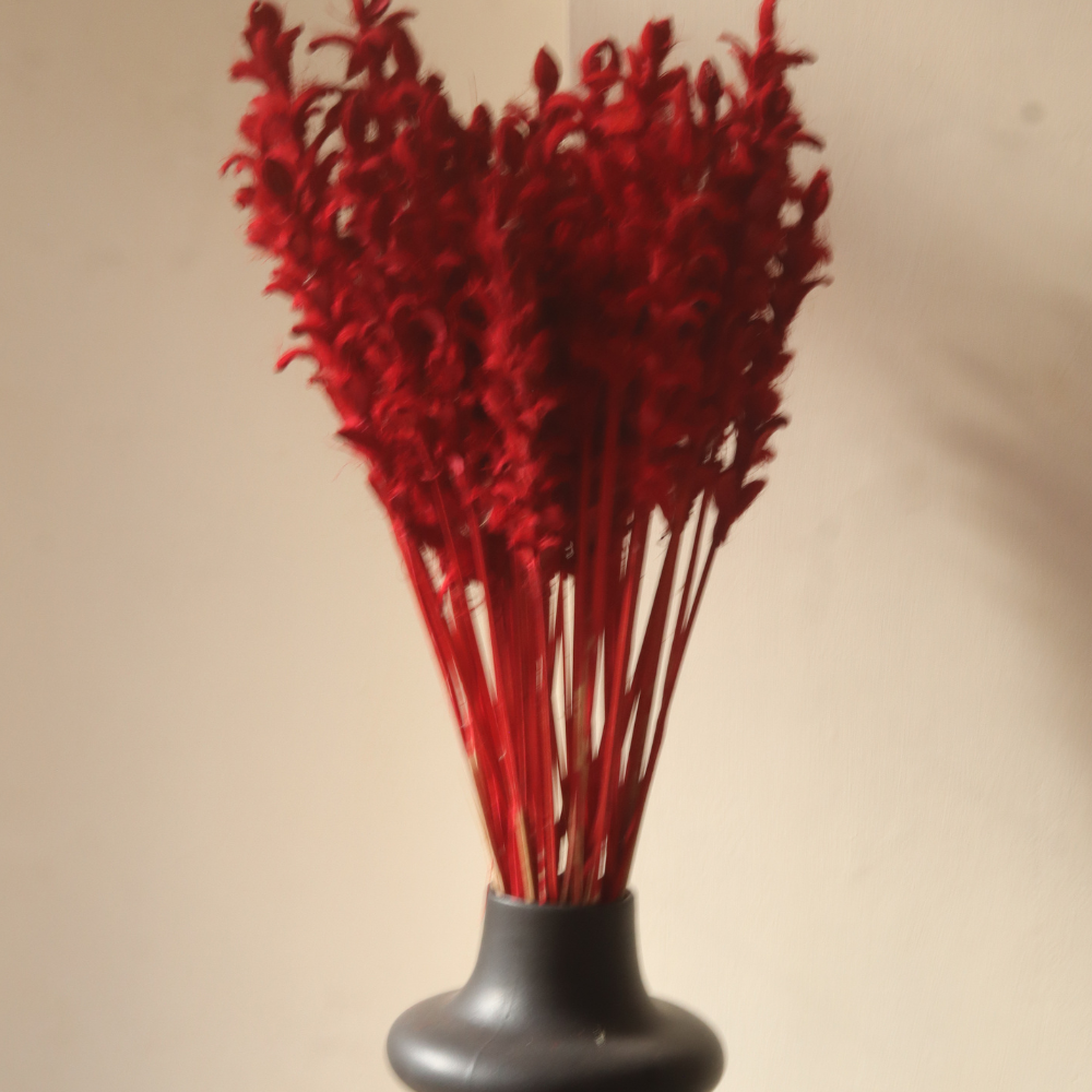 Dried red ginger flower bunch on vase