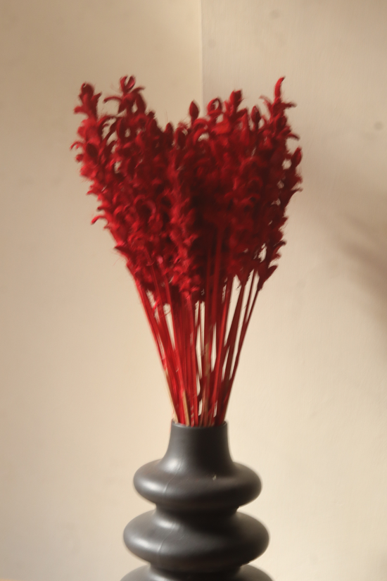 Dried red ginger flower bunch on vase