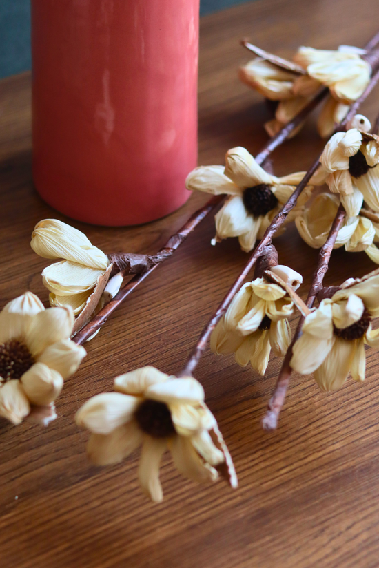 dried tulip bunch for your beautiful home decor
