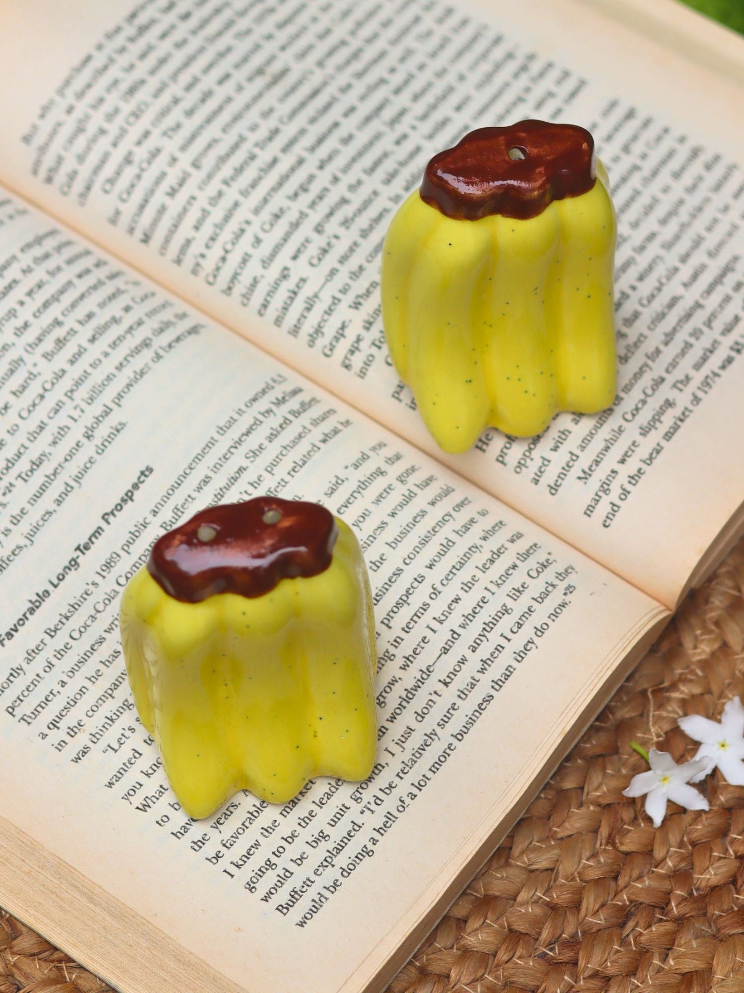 Banana Salt Pepper Shakers with premium quality material