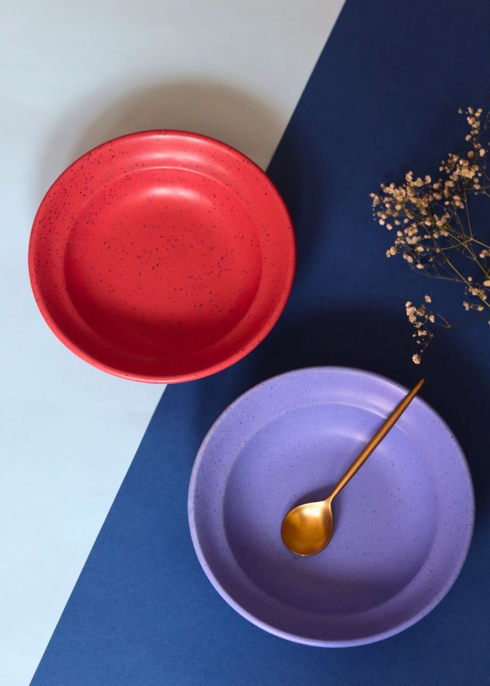 Set of 2 - Deep Red & Matte Blue Pasta Plate with premium quality material