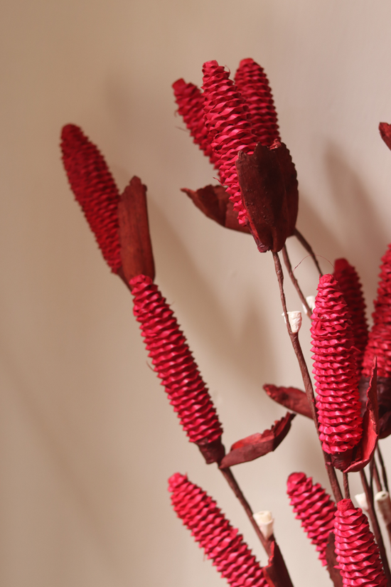 Dried red pine chain bunch