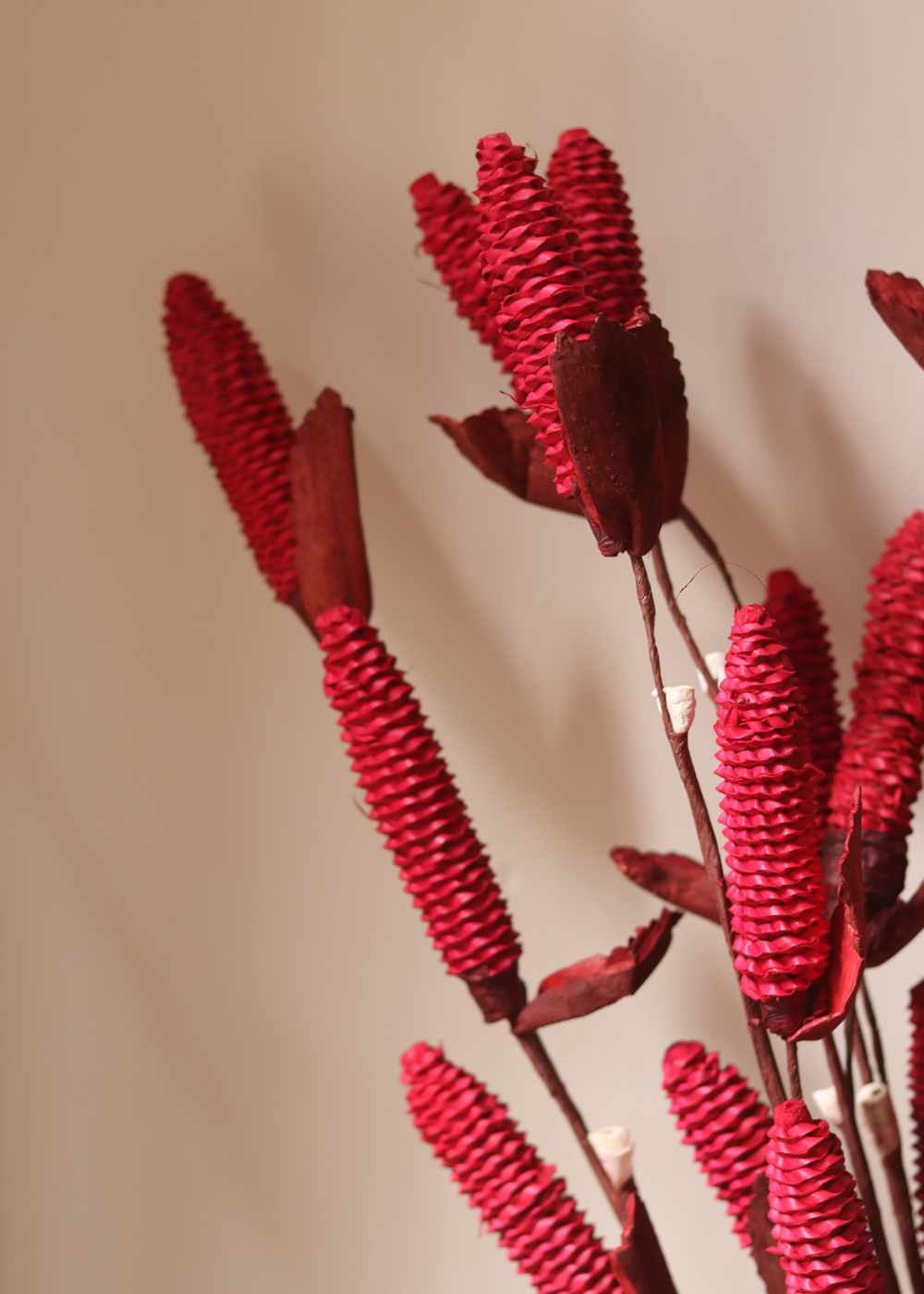 Dried red pine chain bunch