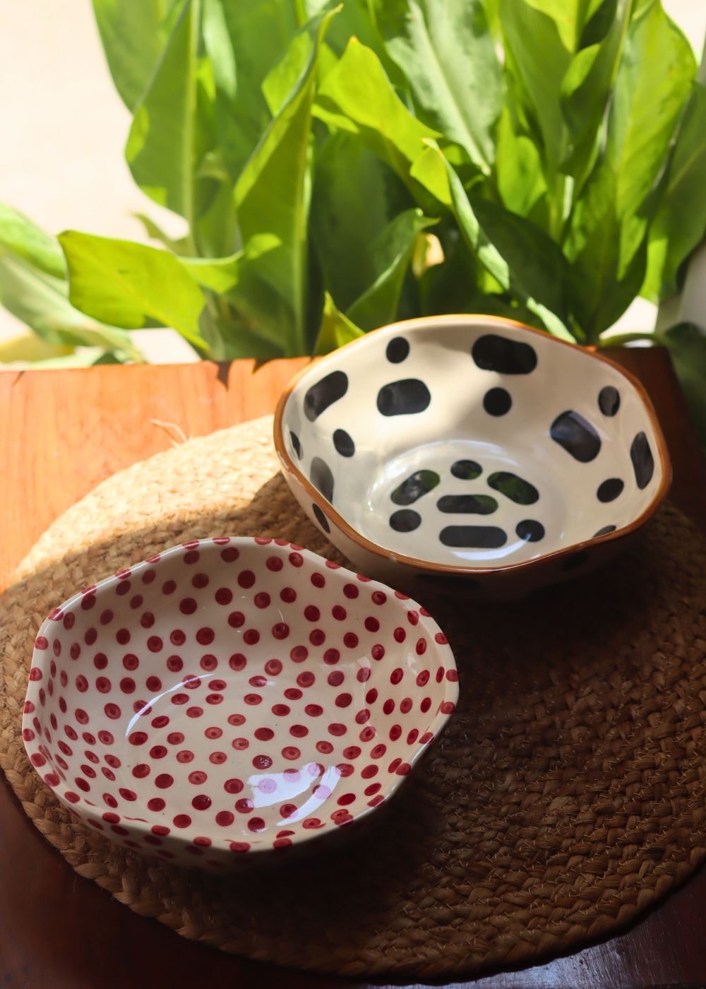 Black Blocks & Red Polka Bowl combo with premium quality material