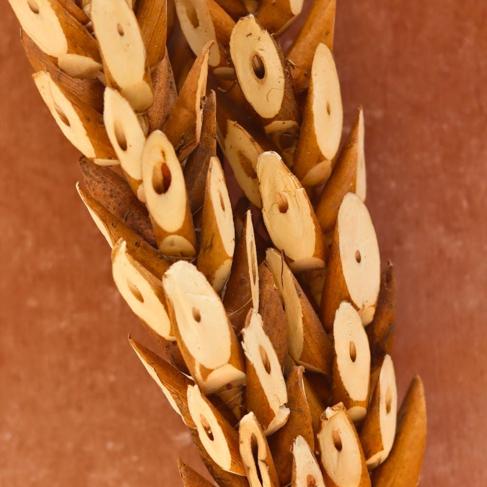 Woody Bunch for your home decor