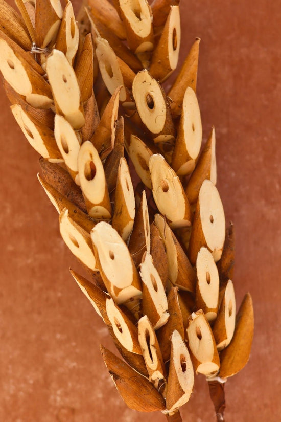 Woody Bunch for your home decor