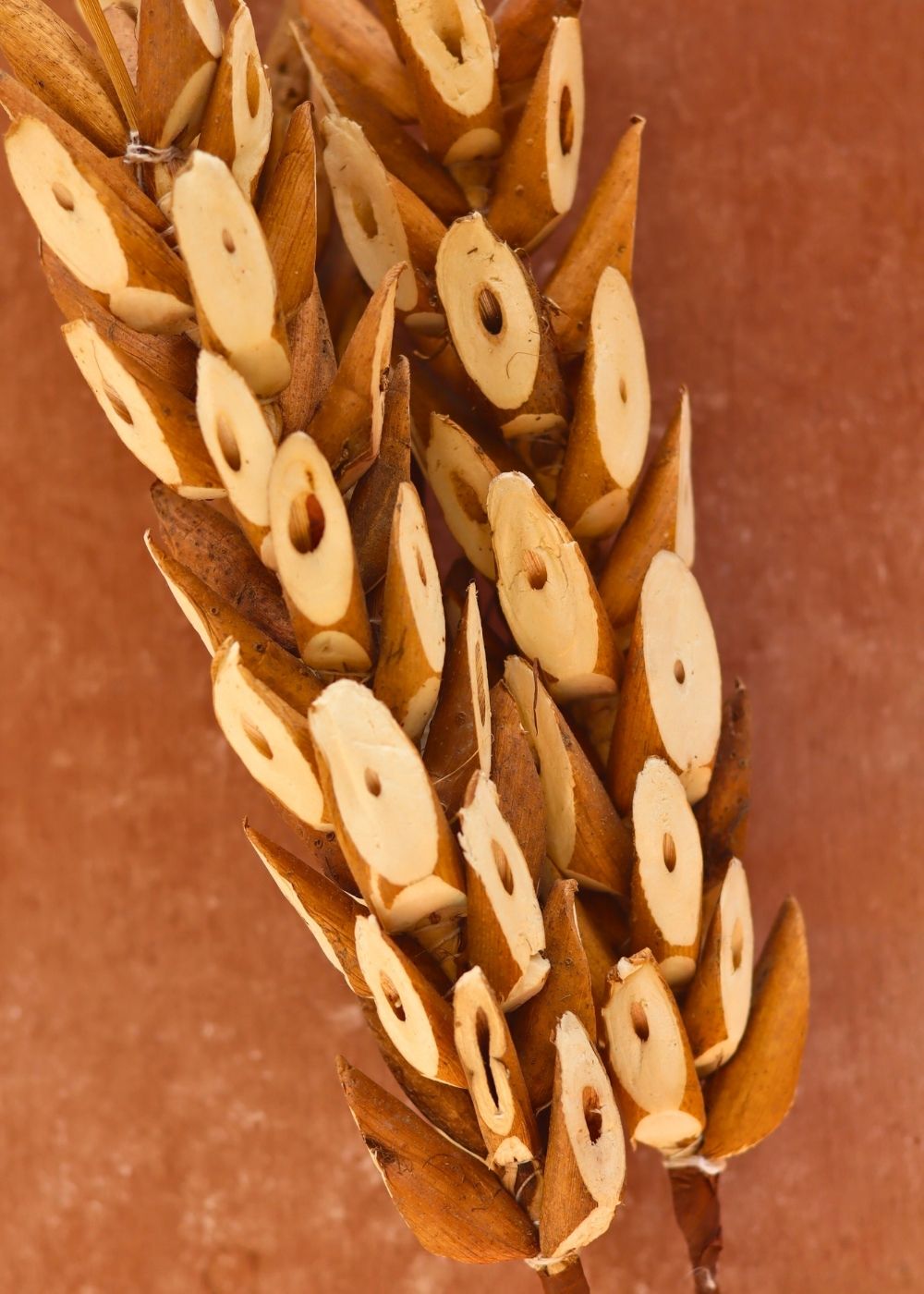 Woody Bunch for your home decor