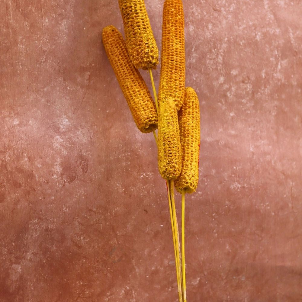Handmade Yellow Corn Bunch