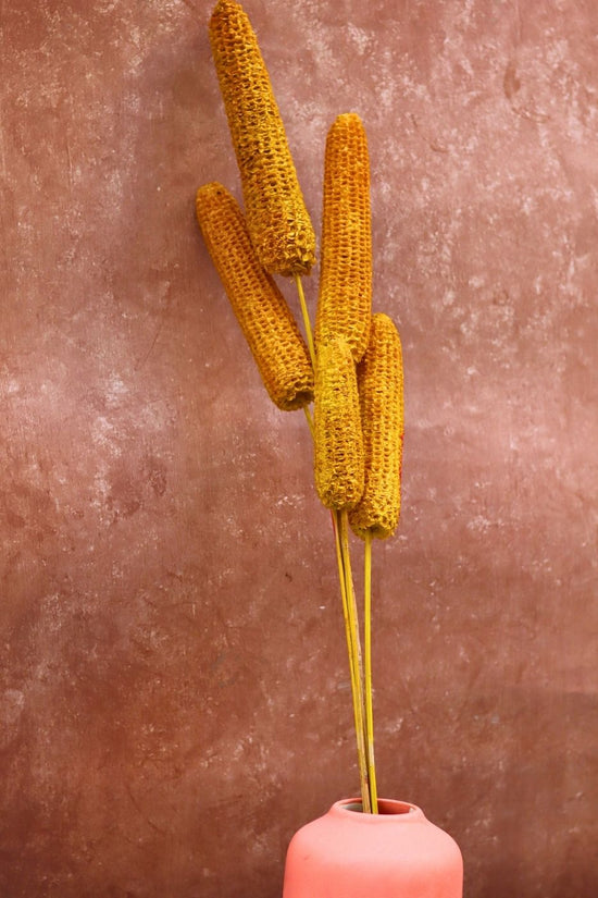 Handmade Yellow Corn Bunch