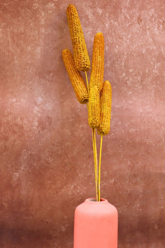 Yellow Corn Bunch for your home decor
