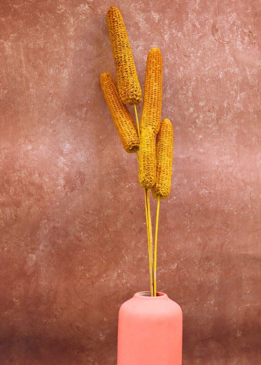 Yellow Corn Bunch for your home decor
